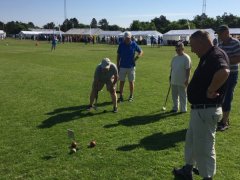 20180526-095824.jpg